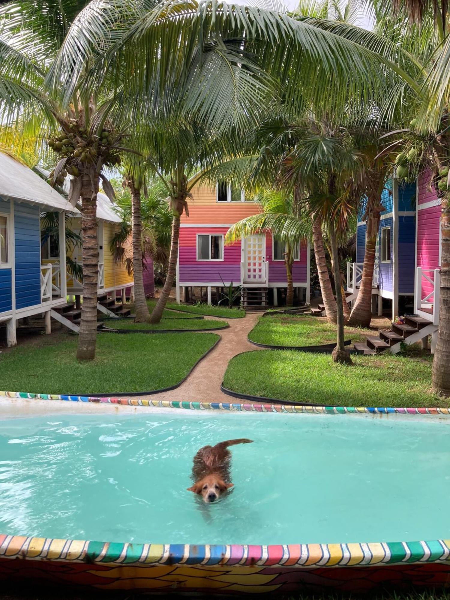 Bed and breakfast Whyknot Holbox Extérieur photo